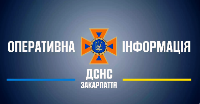 У Буштині згорів автомобіль Fiat: рятувальники ліквідували пожежу вночі