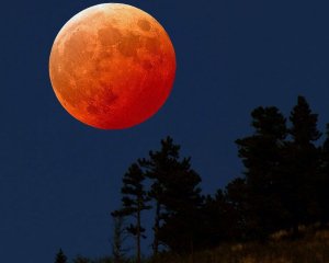 Космічне шоу листопада: Закарпаття побачить «Боброву Повню» — найбільший і найяскравіший Супермісяць з 2019 року