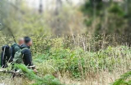 У високогір’ї Карпат затримали трьох українців, які намагалися потрапити до Словаччини