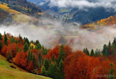 Погода на Закарпатті 5 листопада: без опадів, місцями туман