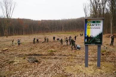На Закарпатті висадили «Ліс пам’яті», присвячений загиблим воїнам-лісівникам