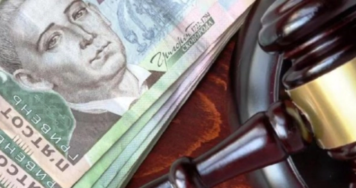 Понад 1,1 млн грн до бюджету: на Закарпатті підприємець сплатив збитки за незаконне користування землею