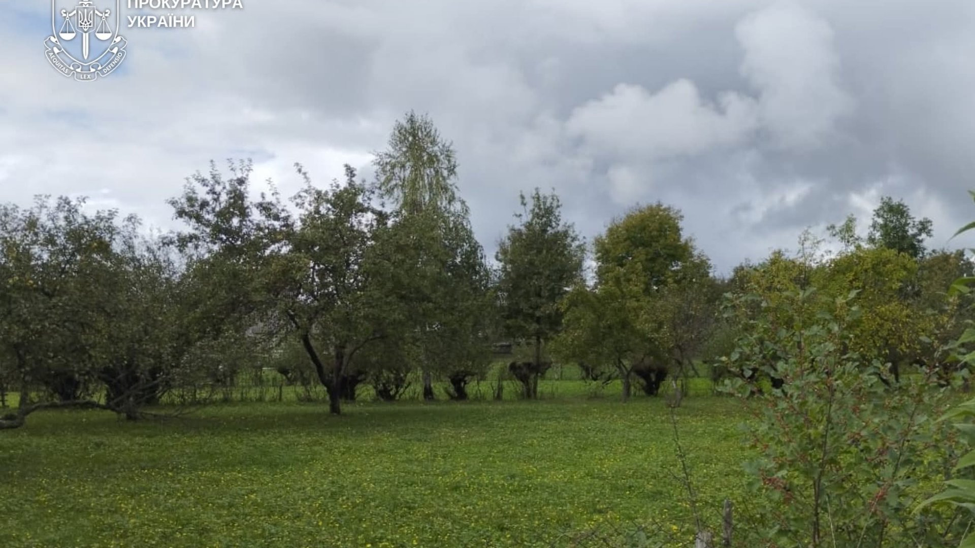 На Тячівщині чоловік привласнив землю на майже 1 млн грн на підставі підробленого рішення сільради - прокурори повідомили йому про підозру