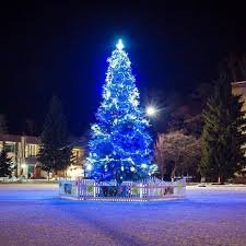 Різдвяний секрет Закарпаття: Найвища ялинка в Ужгороді та таємниче вино Мукачева. Дати святкувань