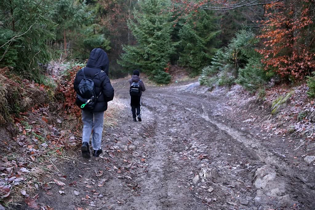 «Життя по-закарпатськи»: Шокуюче випробування! Діти долають 8км через ліс, щоб вчитися