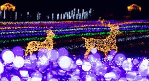 Новий рік-2026 без ілюмінації:  Закарпаття святкуватиме в умовах жорсткої економії світла