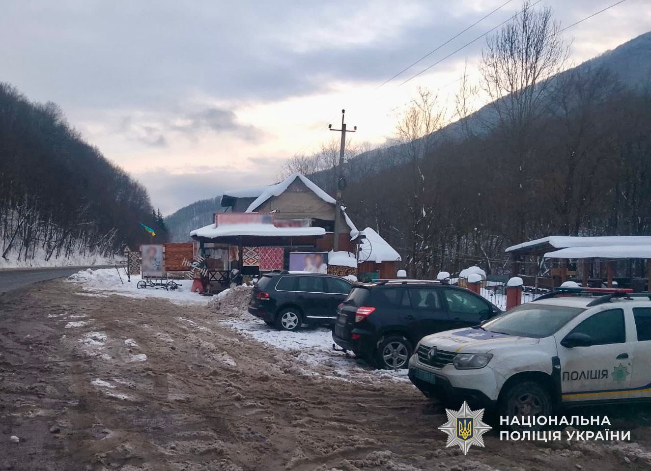 Кривава зупинка на трасі «Київ-Чоп»: у селі Абранка пси відомого закладу ледь не розірвали 10-річну дівчинку