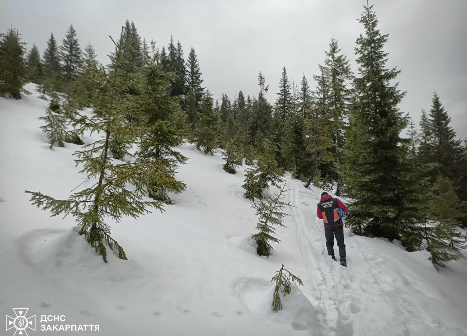 Рятувальники Драгобрат: успішна операція з пошуку туристів у високогір’ї (Фото)