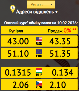 Курс валют Ужгород: скільки коштують долар і євро 10 лютого 2026 року