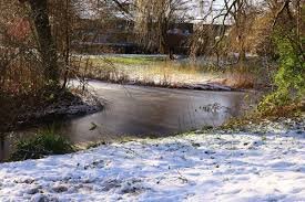 Паводок Закарпаття 2026: на річках області оголошено «помаранчевий» рівень небезпеки