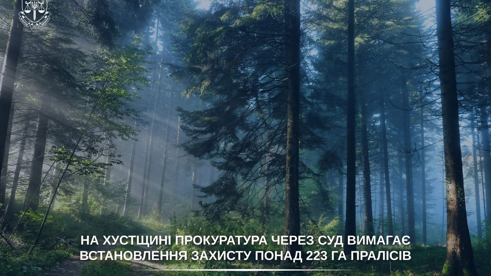 На Хустщині через суд вимагають захистити понад 223 гектари пралісів