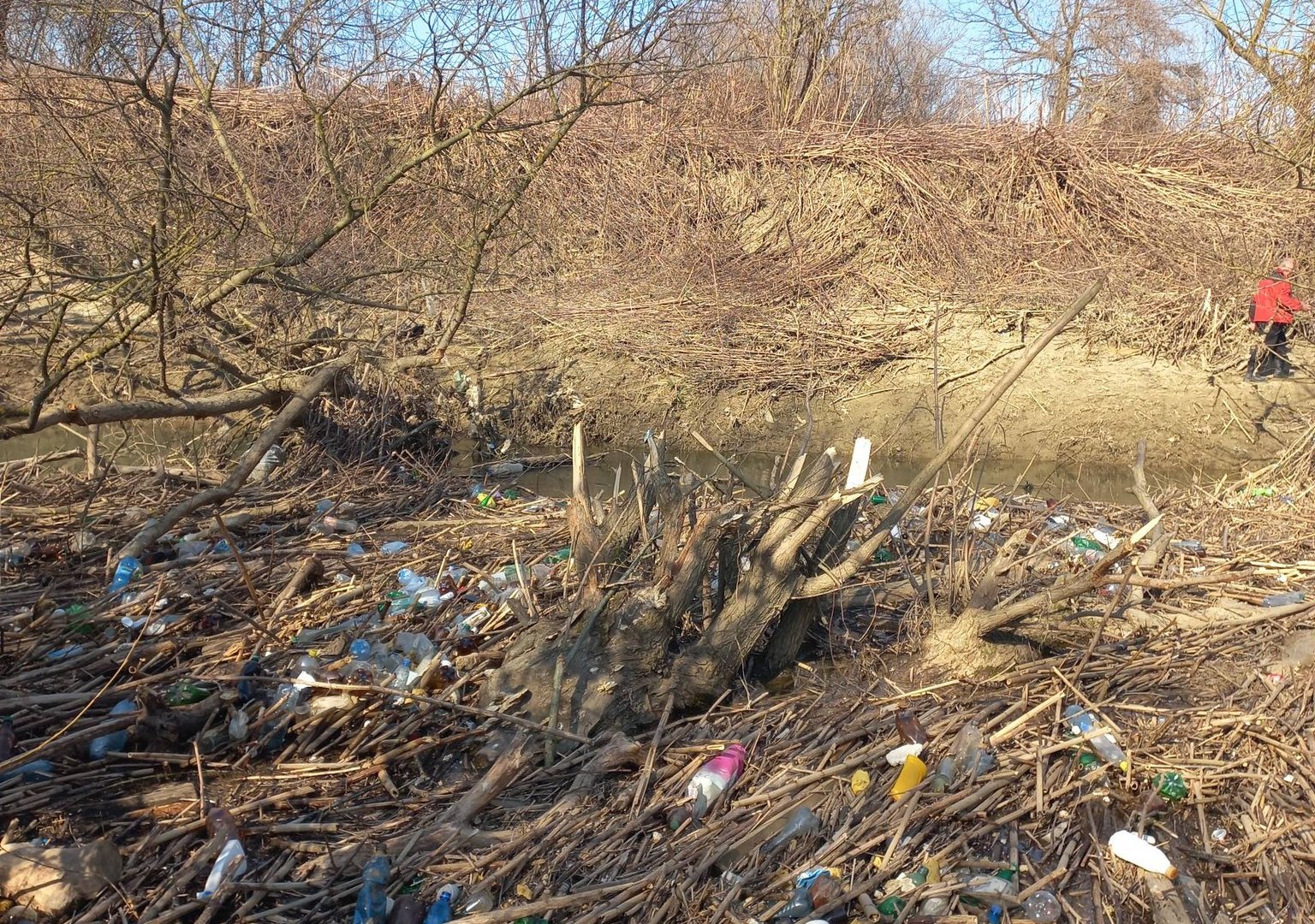 Замість води — пластикові барикади: на Закарпатті річка Боржава перетворилася на «сміттєве море» (ФОТО)