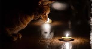 Графіки відключень електроенергії Закарпаття: розклад на четвер, 19 березня