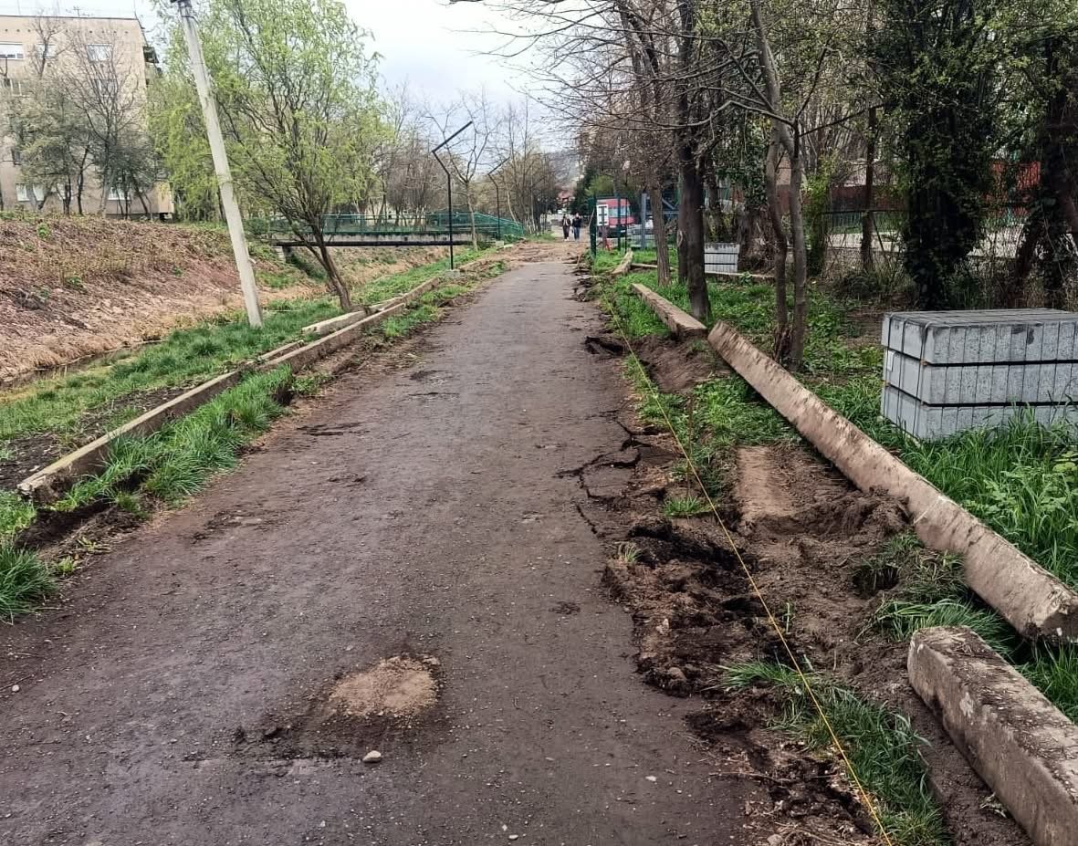 До літа — нова алея: у Берегові стартувало оновлення популярного простору