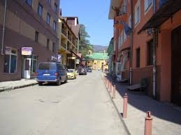 Хвилина мовчання Рахів: вуличний пес приголомшив містян своєю реакцією на загиблих героїв (Відео)