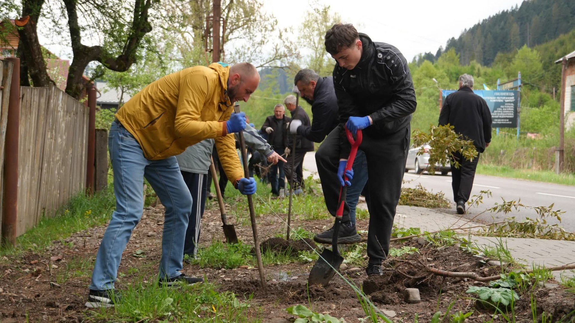 Нова алея сакур у Міжгір’ї: де на Закарпатті загадати бажання під рожевим цвітом