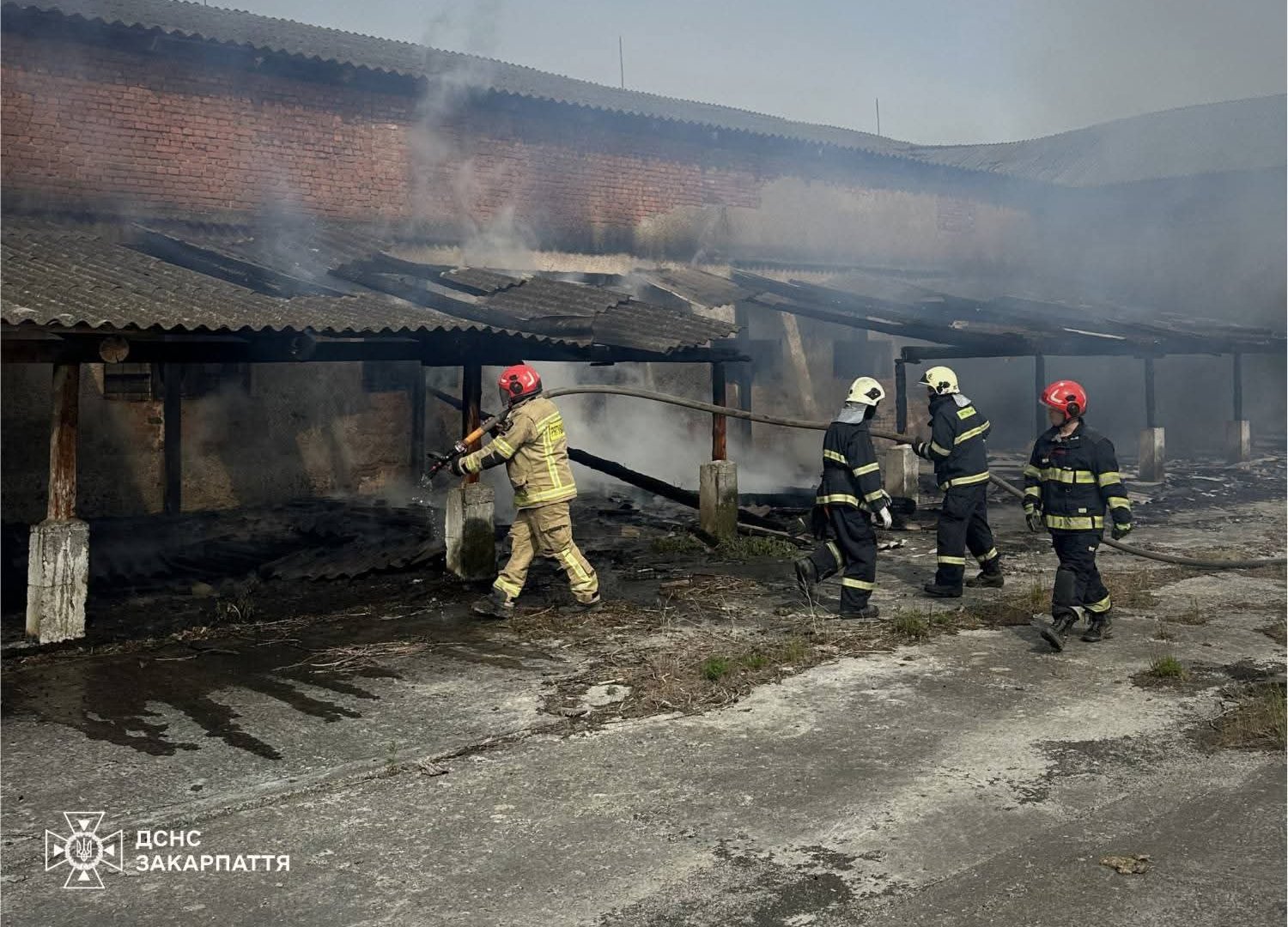 За крок до масштабної катастрофи: на Ужгородщині вогнеборці три воєнізовані бригади рятували ферму від нищівного вогню