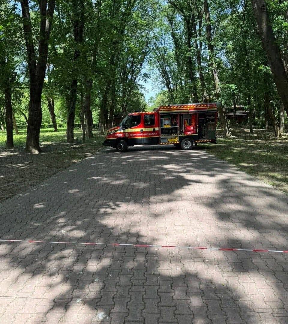Вогняний подих смерті в Боздоському парку: В Ужгороді посеред білого дня за крок від людей замертво рухнуло гігантське дерево