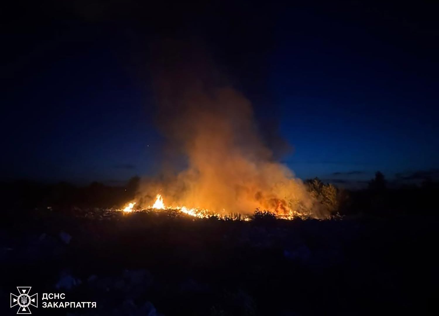 Закарпаття у вогні: понад 800 гектарів вигоріло з початку року, є постраждалий