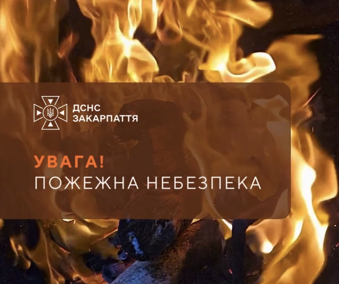 Закарпаття накриє надзвичайна пожежна небезпека: рятувальники попереджають про 14–16 серпня