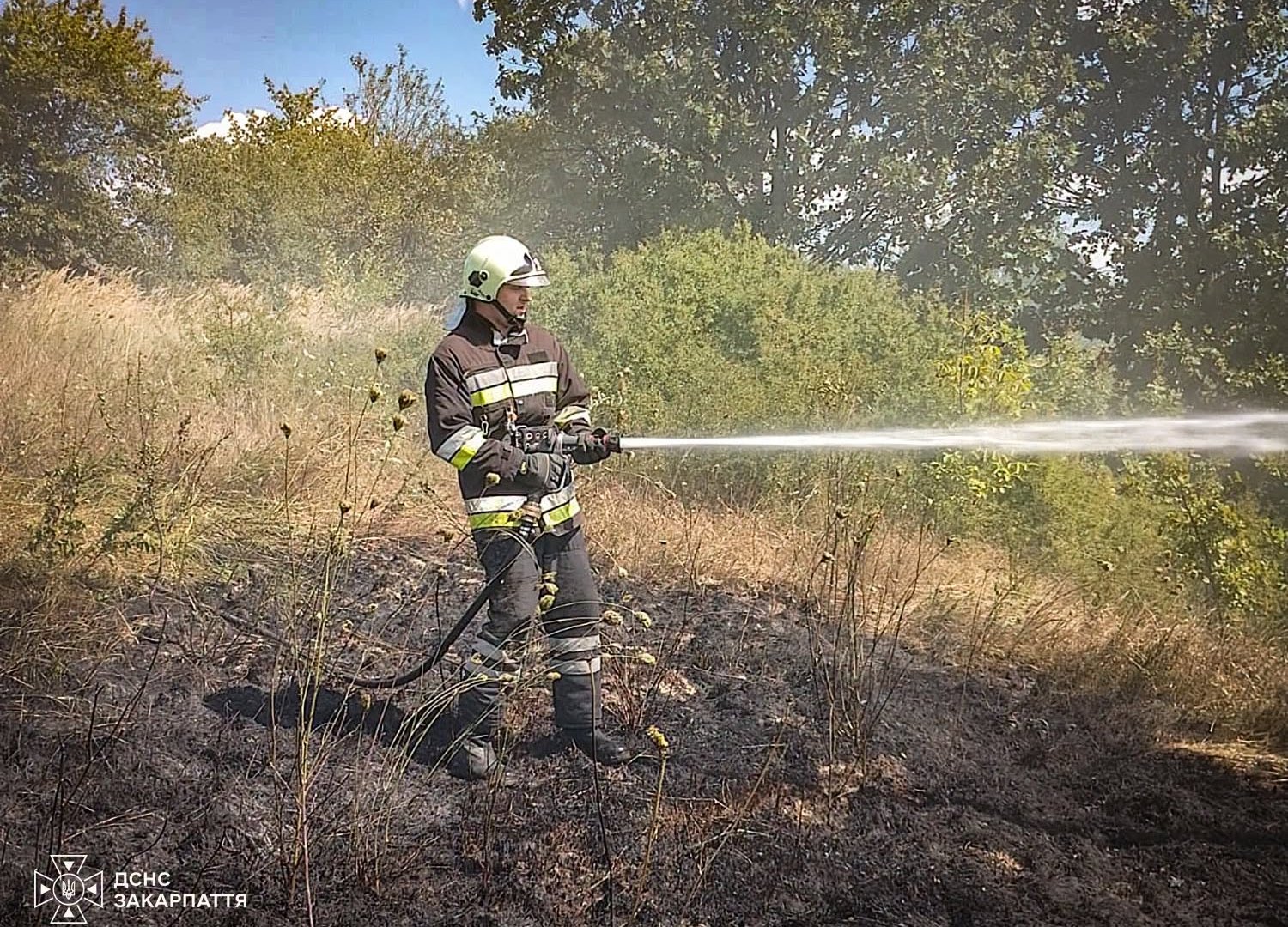 Вогонь охопив 1,2 га і підступав до хат: на Ужгородщині жінка опинилася у палаючій пастці, намагаючись врятувати село