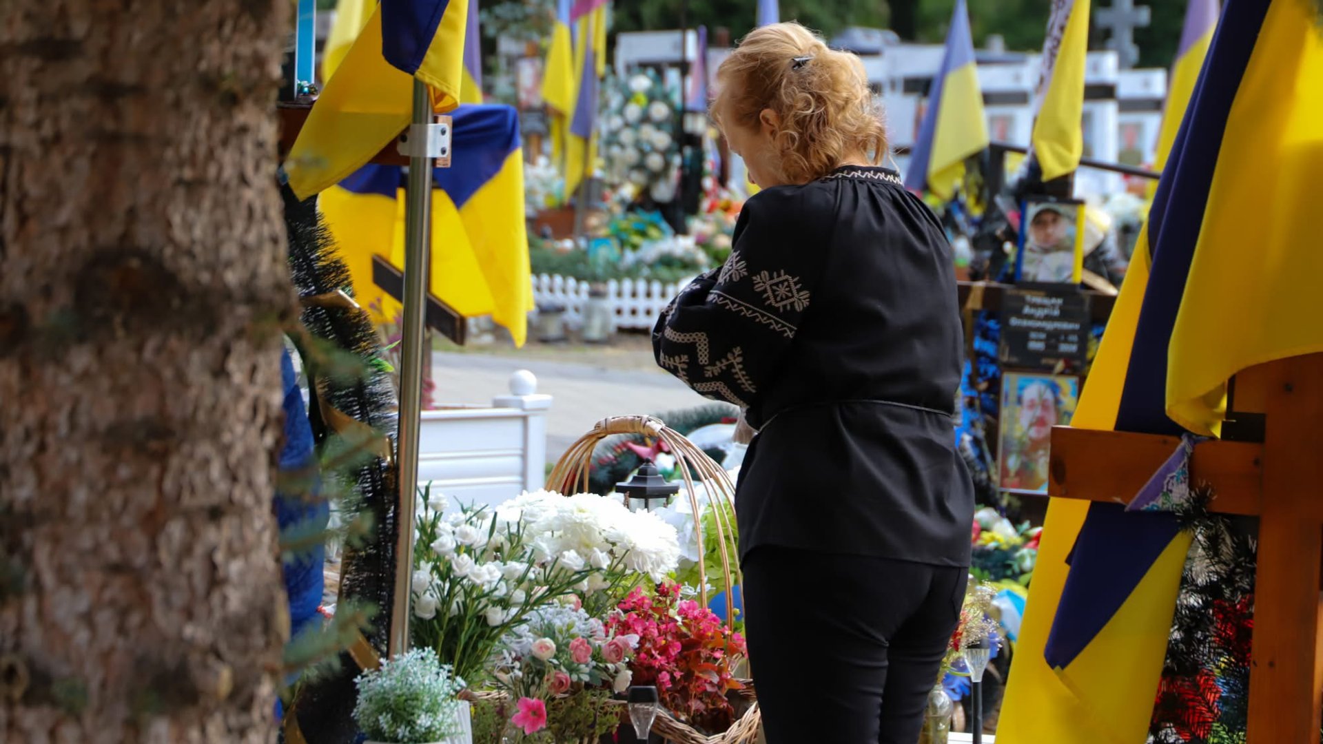 Соняхи пам’яті: в Ужгороді вшанували Героїв, які віддали життя за Україну