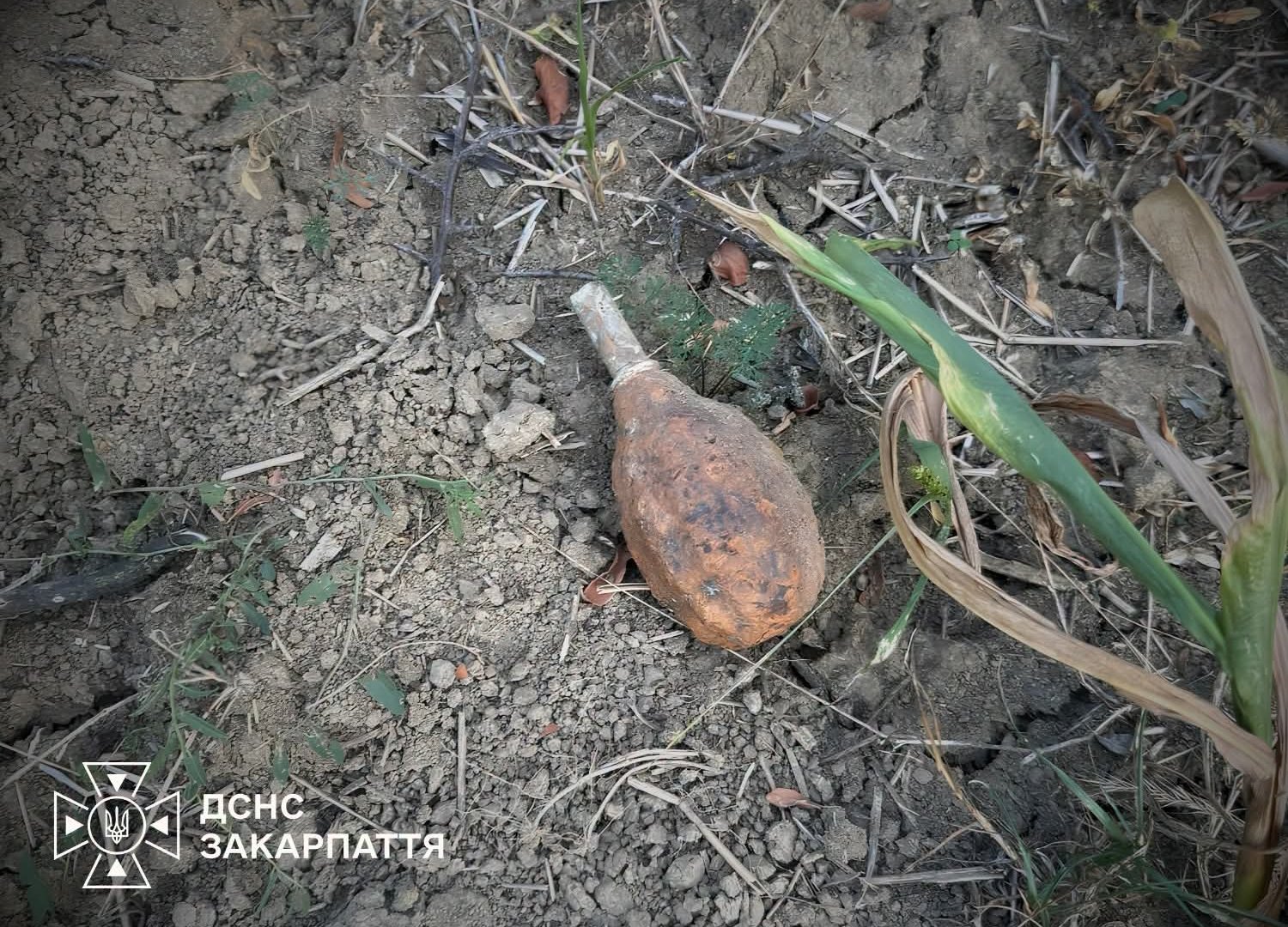 На Ужгородщині чоловік та жінка виявили гранати часів Другої світової війни (ФОТО)
