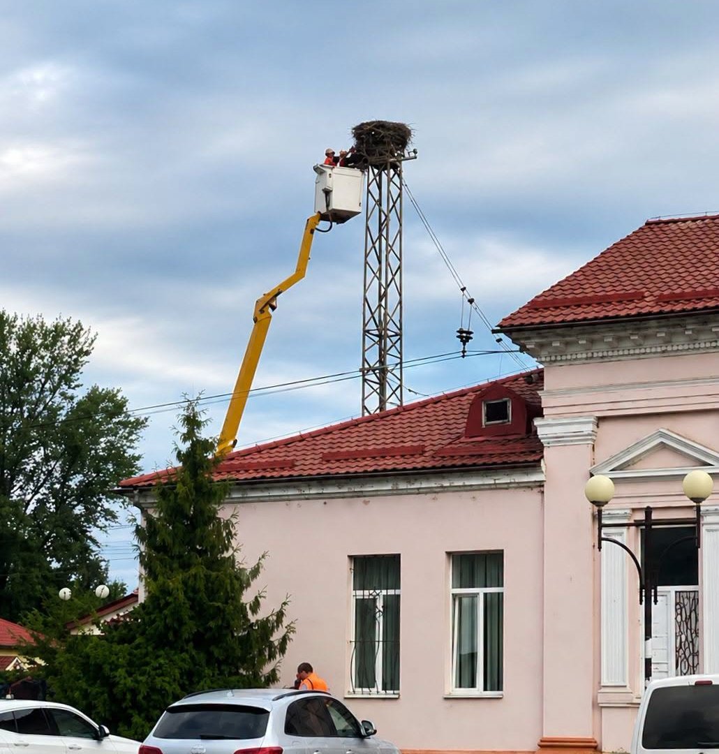 Шок у Сваляві: «Укрзалізниця» знищила легендарне 40-річне гніздо лелек — містяни вимагають покарання