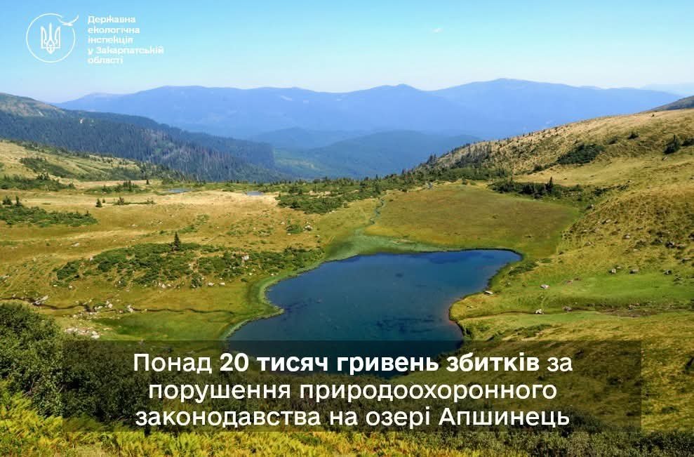 Джипери заїхали до озера Апшинець: екологи нарахували понад 20 тисяч гривень збитків