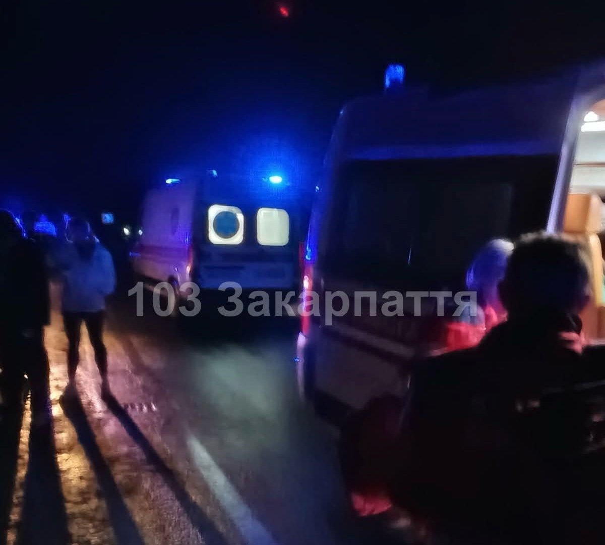 Кривава ніч на Воловеччині: мікроавтобус із пасажирами злетів у кювет і перекинувся на швидкості