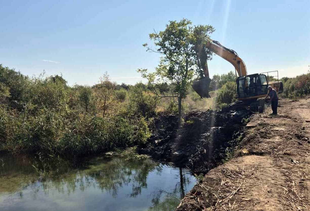 Бобри заблокували Верке: у Берегові екстрено рятували головний канал міста
