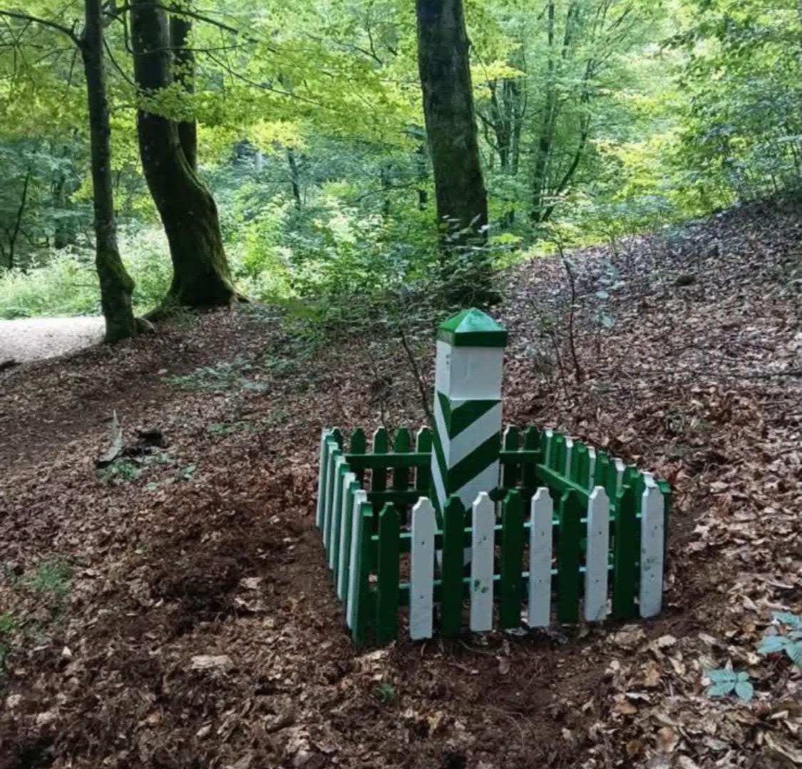 ​Секрети Карпатського заповідника: як нові знаки та квартальні стовпчики змінюють мандрівки для туристів